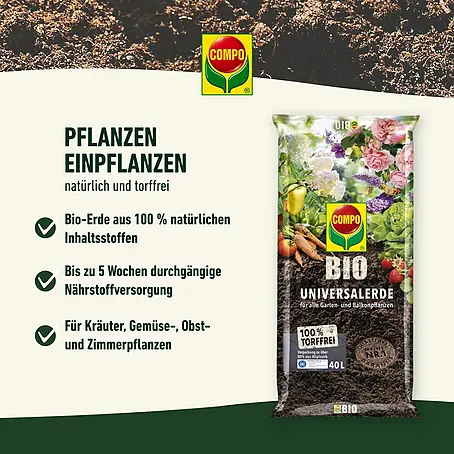 öko saatgut landwirtschaft Bio-Saatgut-Set: 20 Lieblingssorten von Melli aus dem Garten – Heirbloom main image 0