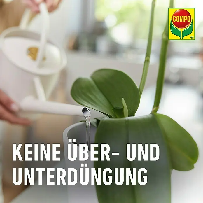 Compo Orchideendünger Orchideen - 20 Stk. - Nahaufnahme einer Person, die eine Zimmerpflanze mit einer weißen Gießkanne gießt, mit dem Compo-Logo in der Ecke. Keine Über- und Unterdüngung.