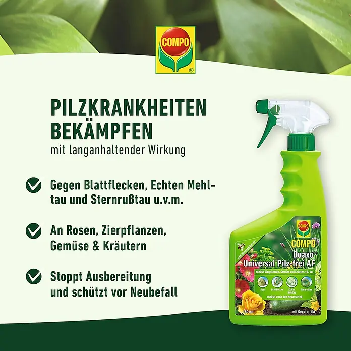 Compo Pilzfrei Duaxo® Universal AF - 2,5 l - Compo Duaxo Universal Pilzfrei AF zur Bekämpfung von Pilzkrankheiten an Pflanzen.