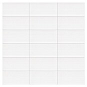 DryTile Wandfliese Palazzo Strukturiert Linie (30 x 60 cm, Weiß, Glänzend) | BAUHAUS