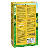 Compo Langzeitdünger Start- & Rollrasen (1,5 kg, Max. Anwendungsfläche: 50 m²) | BAUHAUS
