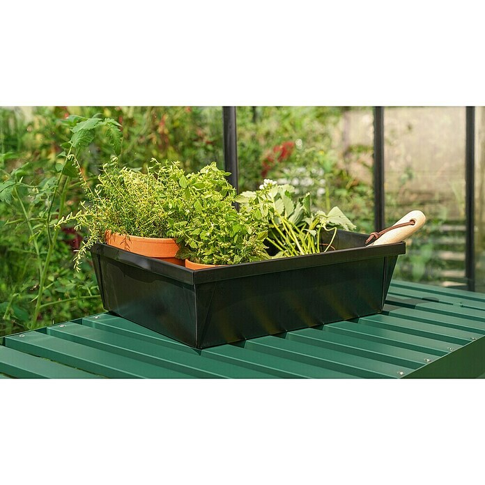Pflanzschale eckig Pergart (L x B x H: 28,5 x 38,5 x 11,5 cm, Stahl, Schwarz) | BAUHAUS
