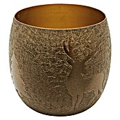 Windlicht Hirsch (Ø x H: 9 x 9 cm, Gold/Braun) | BAUHAUS