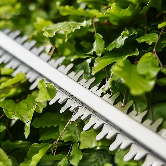 Gardena Power for All 18V Akku-Heckenschere EasyCut 45/18V - 18 V, Li-Ionen, Ohne Akku, Schnittlänge: 45 cm - Nahaufnahme einer Heckenschere beim Schneiden einer grünen Hecke. Die scharfen Klingen sorgen für einen präzisen Schnitt und eine gepflegte Optik.