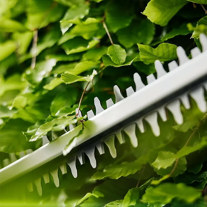 Gardena Power for All 18V Akku-Heckenschere EasyCut 55/18V - 18 V, Li-Ionen, Ohne Akku, Schnittlänge: 55 cm - Nahaufnahme einer Heckenschere, die durch grüne Blätter schneidet. Präzises Trimmen für einen gepflegten Garten.