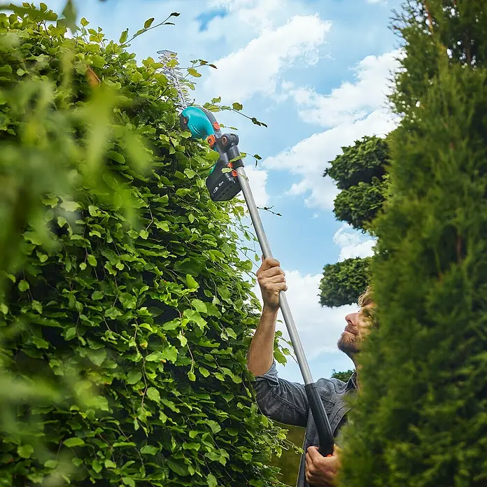 Gardena Power for All 18V Akku-Grasschere PowerCut 20/18V - 18 V, Ohne Akku - Ein Mann schneidet eine Hecke mit einer Gardena Akku-Teleskop-Heckenschere, der Griff ist ausziehbar für hohe Hecken.