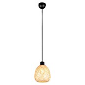 Trio Lighting Lámpara colgante redonda Amelie (10 W, Ø x Al: 18 x 150 cm, Negro, E27) | BAUHAUS