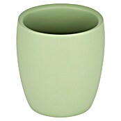 Venus Flakoni Lonček za zobne ščetke  (Zelena, Polirezin) | 3715 - Einzelaccessoires | DADD - Accessoires | DAD - Badausstattung | DA - Badausstattung/Bäderwelt | D - Sanitär | BAUHAUS