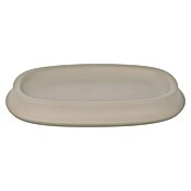 Venus Flakoni Seifenschale (Beige, Polyresin) | BAUHAUS