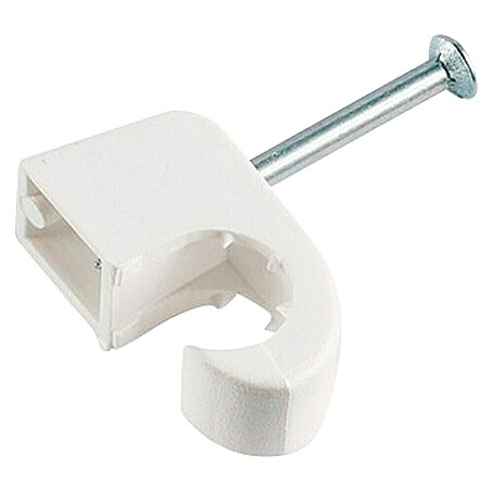 Expressschellenbox (50 Stk.)