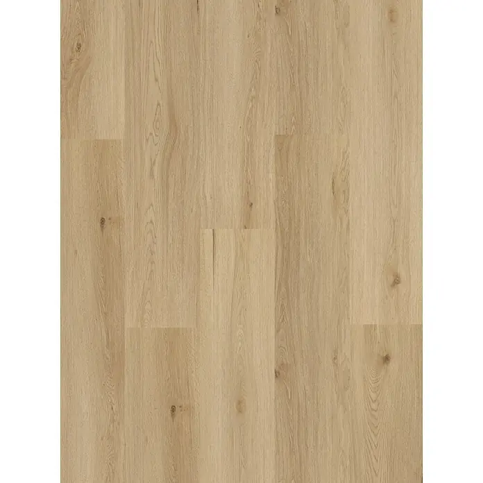 Vinylboden SPC XL - Eiche Arvada, Landhausdiele, 1.511 x 229 x 6,3 mm - Helle, natürliche Holzoptik Vinylbodenfliesen, die ein warmes und einladendes Ambiente schaffen. Strapazierfähig und pflegeleicht für jeden Wohnraum.
