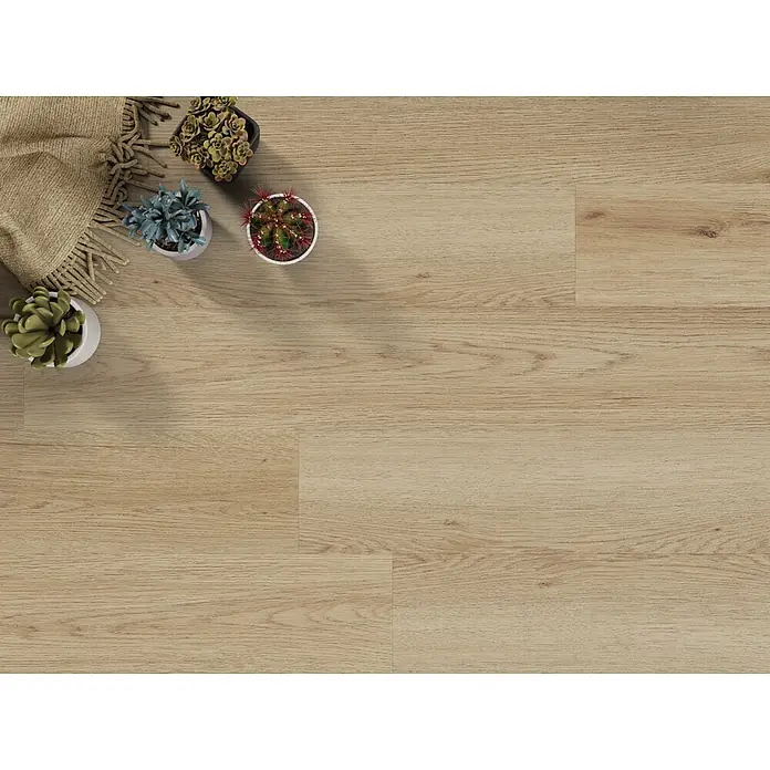 Vinylboden SPC XL - Eiche Arvada, Landhausdiele, 1.511 x 229 x 6,3 mm - Nahaufnahme von Vinylboden in Holzoptik mit Sukkulenten und einer Decke, die die natürliche und moderne Optik hervorhebt.