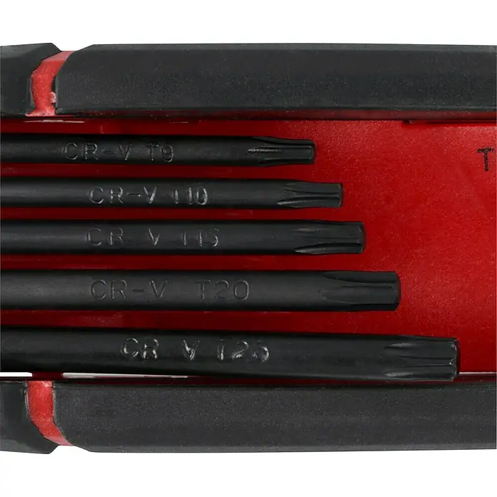 Alpha Tools Stiftschlüsselsatz - 8 -tlg. - Nahaufnahme eines Torx-Schraubendrehersatzes in einer schwarzen und roten Aufbewahrungsbox. Die Schraubendreher sind ordentlich aufgereiht.