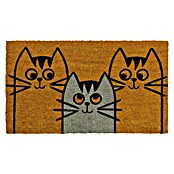 Felpudo Gatos Whiskers (Marrón, 70 x 40 cm) | BAUHAUS