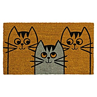 Felpudo de coco Gatos Whiskers (Marrón, 70 x 40 cm)