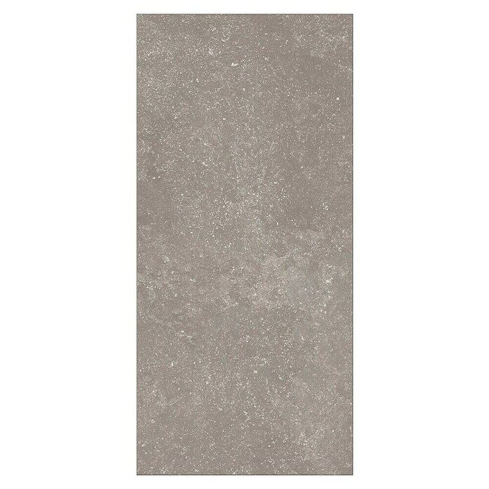 Parador Designboden Modular One (Granit grau, Landhausdiele, 853 x 400 x 8 mm) | BAUHAUS