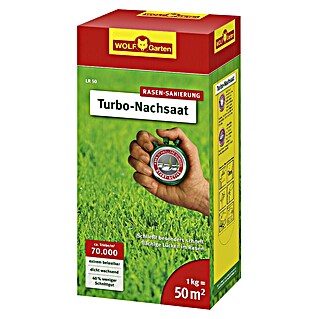 Wolf-Garten Nachsaat-Rasen LR50 (1 000 g, Saatgut ausreichend für: 50 m²)