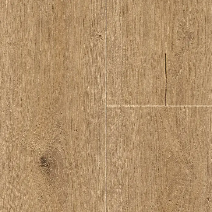 Parador Vinylboden Basic 5.3 - Eiche Cambridge natur, Landhausdiele, 1.209 x 225 x 5,3 mm - Nahaufnahme von hellem Laminatboden mit Maserung und Textur.