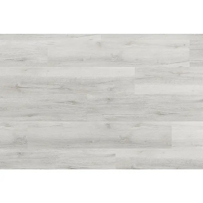 Vinylboden SPC Silent - Scandinavian Eiche, Landhausdiele, 1.220 x 229 x 5,3 mm - Nahaufnahme eines hellgrauen Laminatbodens mit einer realistischen Holzmaserung. Perfekt für ein modernes und stilvolles Wohnambiente.