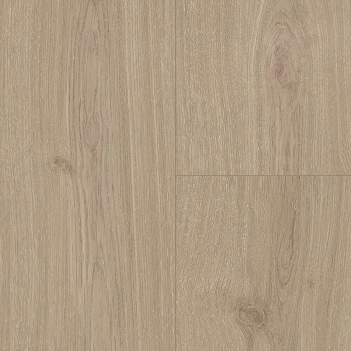 Parador Vinylboden Basic 5.3 - Eiche Regent grau, Landhausdiele, 1.209 x 225 x 5,3 mm - Nahaufnahme von Laminatboden, der ein realistisches Holzmaserungsmuster in hellen, natürlichen Farbtönen zeigt. Ideal für moderne Inneneinrichtung.