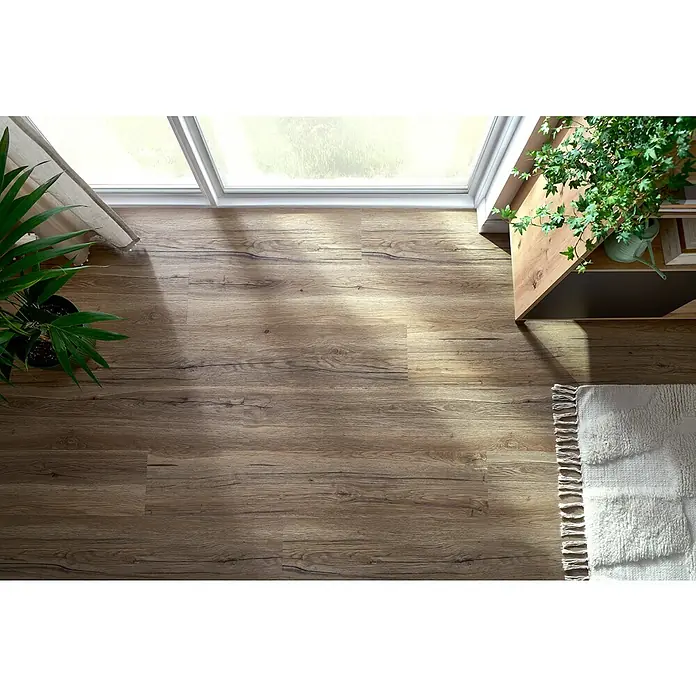 Vinylboden SPC Silent - Kinesawa Eiche, Landhausdiele, 1.220 x 229 x 5,3 mm - Einladender Raum mit Holzboden, Zimmerpflanzen und einem hellen Teppich. Der Bodenbelag schafft eine warme Atmosphäre und einen natürlichen Look.