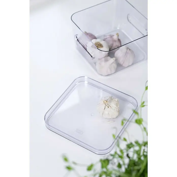 SmartStore Vorratsdose Compact - L x B x H: 20 x 20 x 12 cm, Kunststoff, Transparent - Klarer Aufbewahrungsbehälter mit Knoblauchzehen und Deckel. Der Behälter ist leer und quadratisch, perfekt für die Organisation von Gemüse.