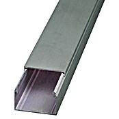 Kabelkanal CKA (B x H: 60 x 40 mm, Länge: 2 m, Aluminium, Natur eloxiert) | BAUHAUS