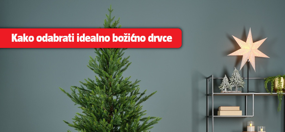 Kako odabrati idealno bozicno drvce