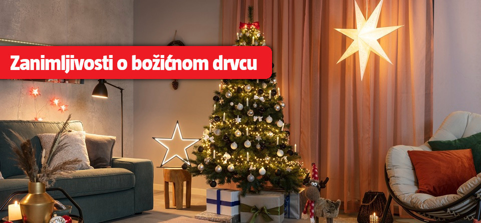 Zanimljivosti o božićnom drvcu
