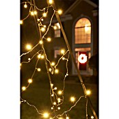 Kerstverlichting Fairybell - 6 meter (Ø x h: 270 cm x 6 m, Aantal lichtbronnen: 900 st., Warm wit) | BAUHAUS