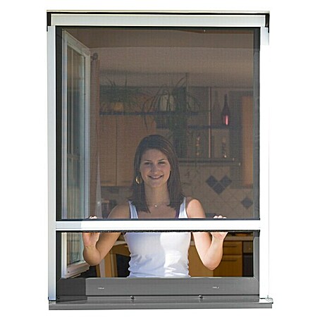 Windhager Insektenschutz-Fensterrollo Plus (160 x 160 cm, Weiß, Klebebefestigung)