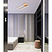 Globo Led-plafondlamp Tyler (Perziek, l x b x h: 51,5 x 10 x 7,2 cm, 12 W) | BAUHAUS