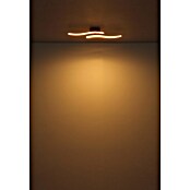 Globo Led-plafondlamp Tyler (Perziek, l x b x h: 51,5 x 10 x 7,2 cm, 12 W) | BAUHAUS