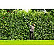 Bosch Professional AMPShare 18V Teleskop-Heckenschere GHE18V-50 FP (18 V, Li-Ionen, Anzahl Akkus: Ohne Akku) | BAUHAUS