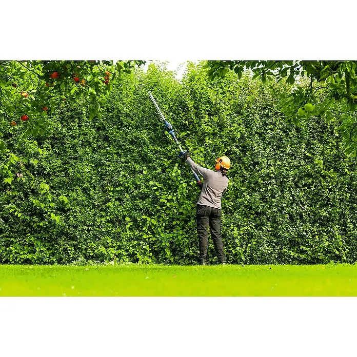 Bosch Professional AMPShare 18V Teleskop-Heckenschere GHE18V-50 FP - 18 V, Li-Ionen, Anzahl Akkus: Ohne Akku - Ein Gärtner schneidet mit einer Heckenschere eine hohe grüne Hecke, um sie in Form zu bringen. Gartengeräte im Einsatz.