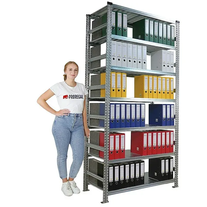 Proregal Aktenregal PROXIMO Grundregal - H x B x T: 250 x 120 x 60 cm, Anzahl Böden: 6 Stk., Stecken, Verzinkt - Regal mit Ordnern in verschiedenen Farben, neben dem eine Frau steht.