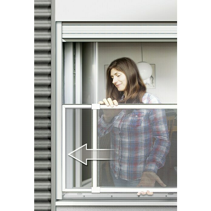 Schellenberg Insektenschutz-Schiebefenster (B x H: 75 x 50 cm, Weiß)