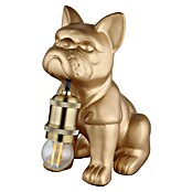 Globo Tischleuchte Dogo (Gold, L x B x H: 195 x 125 x 240 mm, E27) | BAUHAUS
