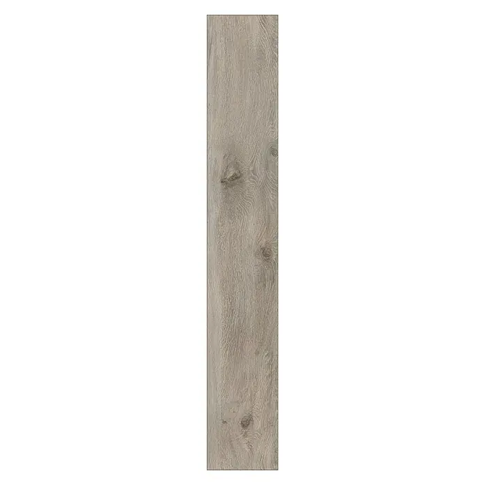MyStyle MyDream Laminat - Wilderness Oak, Landhausdiele, 1.285 x 192 x 14 mm - Ein einzelnes, stilvolles Paneel in Holzoptik, perfekt für moderne Innenräume, präsentiert die natürliche Maserung.