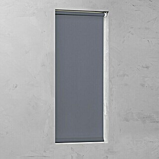 Expo Ambiente Rollo Mini (B x H: 90 x 210 cm, Grau, Uni, Tageslichtdurchlässig)