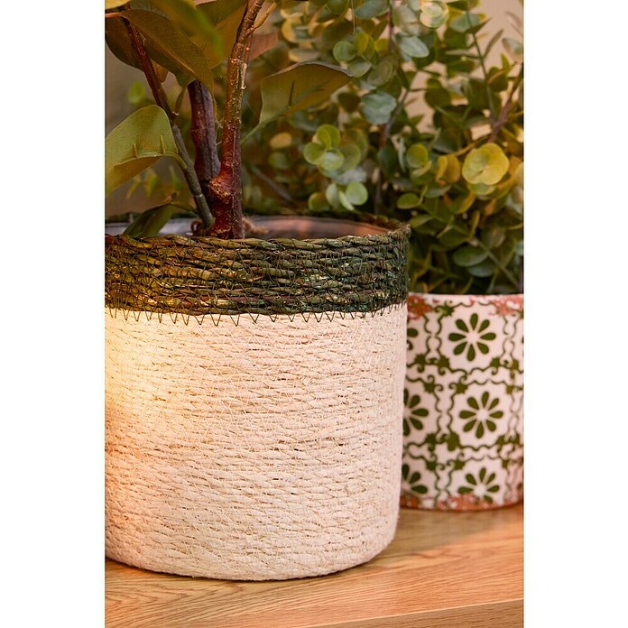 Maceta con interior de plástico Eli (Ø x Al: 16 x 16 cm, Natural, Crema/Verde) | BAUHAUS