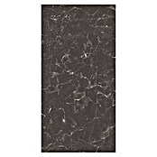 Bariperfil Protector de pared de cocina Backsplash (Galaxus black, 60 x 98 cm, Aluminio) | BAUHAUS