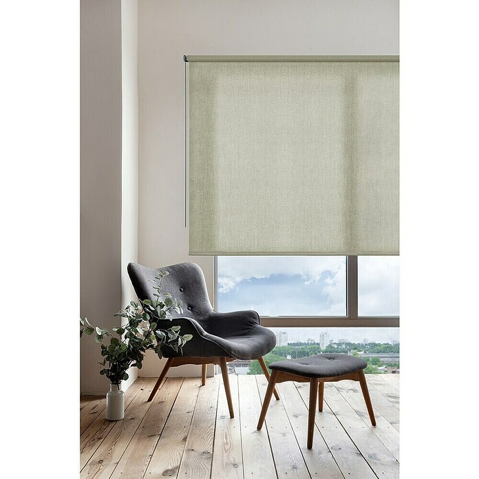 Estor enrollable Soft (An x Al: 180 x 250 cm, Caqui, Unicolor) | BAUHAUS