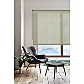 Estor enrollable Soft (An x Al: 180 x 250 cm, Caqui, Unicolor) | BAUHAUS