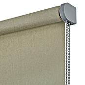 Estor enrollable Soft (An x Al: 180 x 250 cm, Caqui, Unicolor) | BAUHAUS