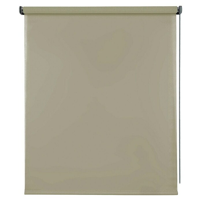 Estor enrollable Soft (An x Al: 180 x 250 cm, Caqui, Unicolor) | BAUHAUS