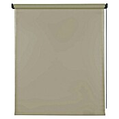 Estor enrollable Soft (An x Al: 180 x 250 cm, Caqui, Unicolor) | BAUHAUS