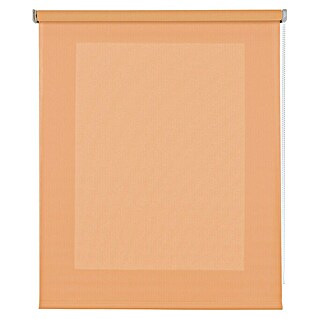 Estor enrollable Soft (An x Al: 140 x 250 cm, Melocotón)