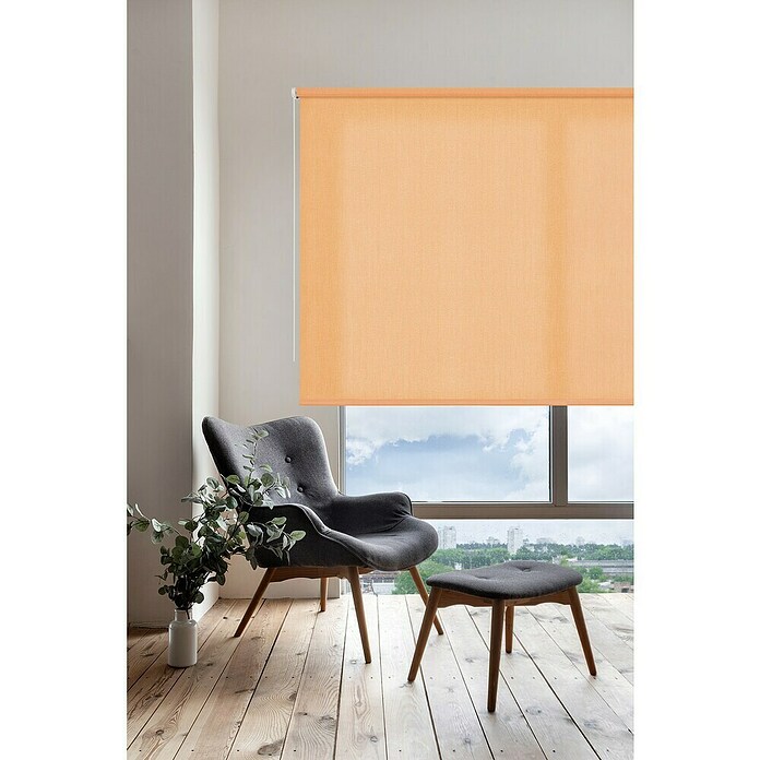 Estor enrollable Soft (An x Al: 120 x 250 cm, Melocotón) | BAUHAUS
