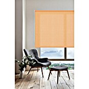 Estor enrollable Soft (An x Al: 120 x 250 cm, Melocotón) | BAUHAUS